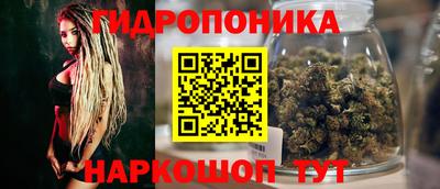 Альфа ПВП Пенза