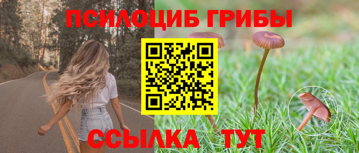 Галлюциногенные грибы ЛСД  Вход с VPN  Сорочинск 